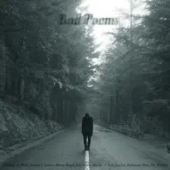 Bad Poems (Album Remixes) by Robert S album reviews, ratings, credits