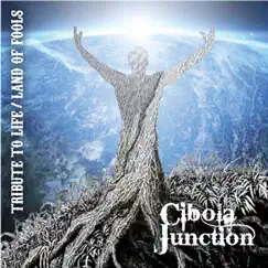 Tribute to Life / Land of Fools - Single by Cibola Junction album reviews, ratings, credits