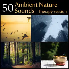 Ambient Nature Sounds Song Lyrics
