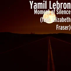 Moment of Silence (feat. Elizabeth Fraser) Song Lyrics