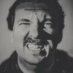Joy (feat. Beaver Sheppard) by Brandt Brauer Frick album reviews, ratings, credits