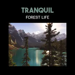 Tranquil Forest Life Song Lyrics