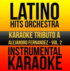 Instrumental Karaoke Series: Alejandro Fernandez, Vol. 2 (Karaoke Version) by Latino Hits Orchestra album reviews, ratings, credits
