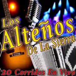 20 Corridos (En Vivo) by Los Alteños De La Sierra album reviews, ratings, credits