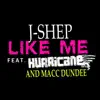 Like Me (feat. Hurricane Chris & Macc Dundee) - Single album lyrics, reviews, download