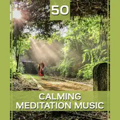 50 Calming Meditation Music: Perfect Balance, Spiritual Enlightenment, Buddhist Mantras, Chakra Healing, Classical Indian Flute, Yoga & Reiki Music by Relaxation Meditation Songs Divine album reviews, ratings, credits