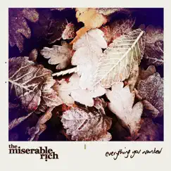 Everything You Wanted - Single by The Miserable Rich album reviews, ratings, credits