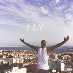 Fly - Single by Hendersin album reviews, ratings, credits