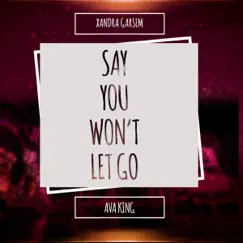 Say You Won't Let Go (feat. Ava King) - Single by Xandra Garsem album reviews, ratings, credits