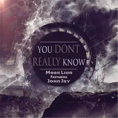 You Don't Really Know (feat. John Jay) - Single by Meek Lion album reviews, ratings, credits