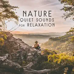 Nature Quiet Sounds for Relaxation - Inner Peace, Positive Vibration and Meditation, Natural Balance Your Body and Soul by Beautiful Nature Music Paradise album reviews, ratings, credits