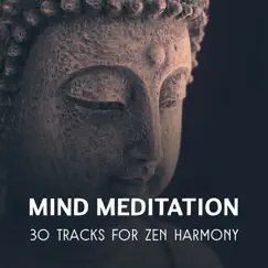 Mind Meditation – 30 Tracks for Zen Harmony, Inner Balance, Soothing Relaxation Music Collective, Focus & Concentrate by Odyssey for Relax Music Universe album reviews, ratings, credits