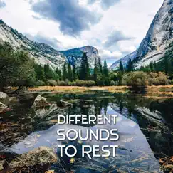 Quiet Time for Yoga Song Lyrics