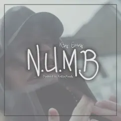 N.U.M.B - Single by Kris Evans album reviews, ratings, credits