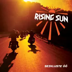 Seikluste Öö by Rising Sun album reviews, ratings, credits