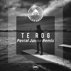 Te Rog (Pascal Junior Remix) Song Lyrics