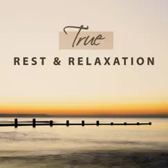 True Rest & Relaxation – Prefect Sounds of Nature for Positive Thinking, Slumber and Meditation, Deep Massage by Spiritual Healing Consort album reviews, ratings, credits