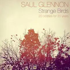 Strange Birds: 20 Oddities for 20 Years by Saul Glennon album reviews, ratings, credits