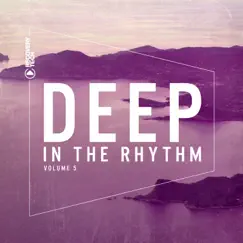 Deep in the Rhythm, Vol. 5 by Various Artists album reviews, ratings, credits