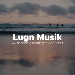 Lugn Musik: Avslappningsövningar vid Stress by New Feeling album reviews, ratings, credits