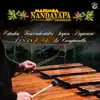 Estudios Trascendentales Según Paganini (1838) #3: La Campanella - Single album lyrics, reviews, download