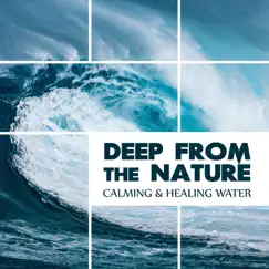 Deep from the Nature - Calming & Healing Water: Nature Soothing Sounds, Relaxing Storms, Calming Waves, Inspiring Streams, Therapeutic Sea & Lake White Noise by Calming Water Consort album reviews, ratings, credits
