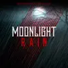 Moonlight Rain - Single album lyrics, reviews, download