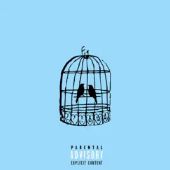 Bird Watching - Single by NX2U album reviews, ratings, credits